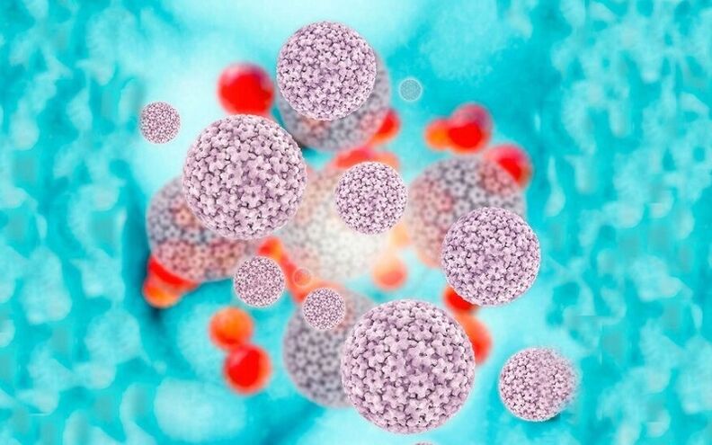 humant papillomavirus, der forårsager papillomer på skamlæberne