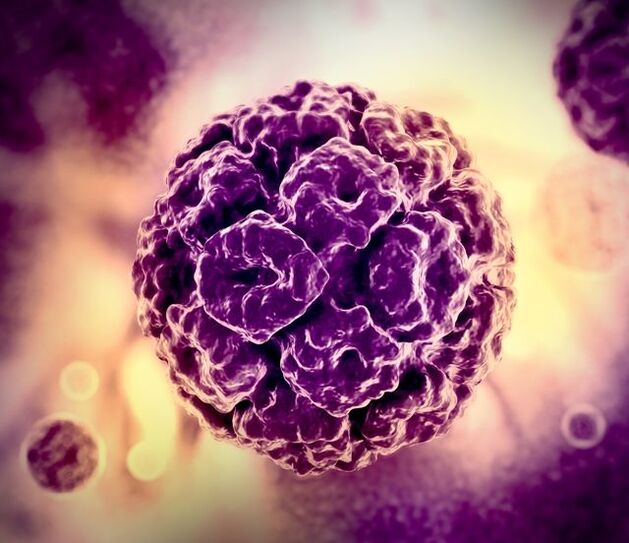3D -model af HPV (humant papillomavirus)