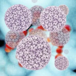 humane papillomavirus molekyler