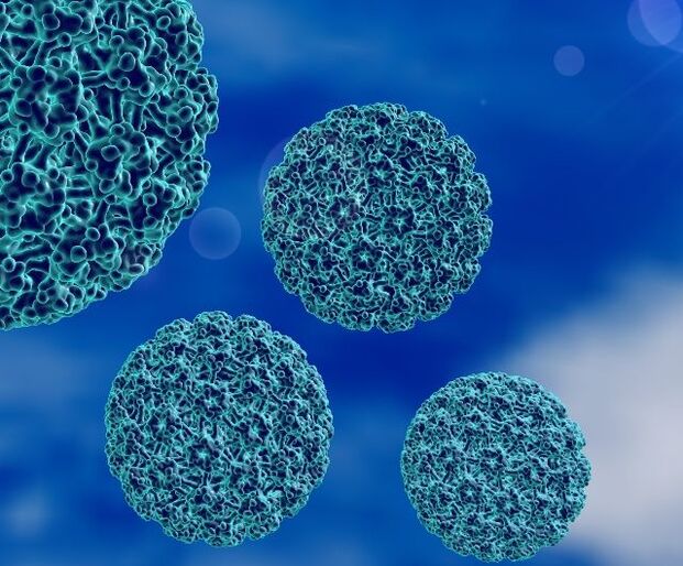 3D-model af HPV, der forårsager hælvorter